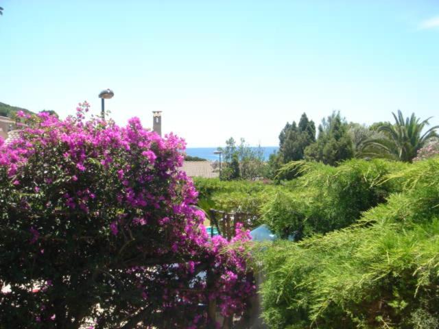 קיה Villa Rosetta מראה חיצוני תמונה